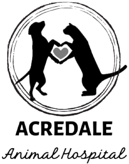 Acredale Animal Hospital Home