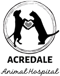 Acredale Animal Hospital Home